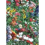 Davids Wildflower Seed Mix Texas Oklahoma 400+ Seeds per Pa
