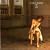 You Belong To Me (LP Version)