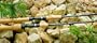 St. Croix Avid Salmon & Steelhead Casting Rods Model: AVC90MF2 (9' 0", M)