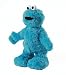 Toys : Fisher-Price T.M.X. Tickle Me Extreme Cookie Monster