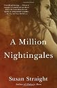 A Million Nightingales: A Novel