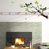 Modern House Spring Birds on Tree Branch removable Vinyl Mural Art Wall Sticker Wall Decal