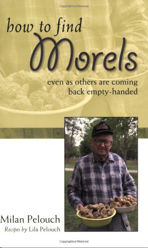 How to Find Morels