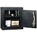 HOMAK HS10103025 Upper Add On Security Cabinet, Gloss Black