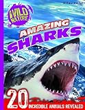 Amazing sharks