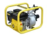 McCulloch FP300A 6.5 HP Gas Water Pump
