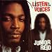 Junior Reid-Listen to the Voices