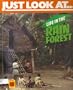 Life in the Rainforest (Just Look at)