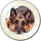 GERMAN SHEPHERD Laying Tax Disc Holder