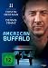 American Buffalo