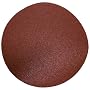 Delta 31-697 9-Inch 80 Grit Sanding Disc (2-Pack)