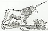 The Unicorn Crisis (The Hidden Academy)