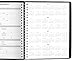AT-A-GLANCE Daily Appointment Book / Planner 2017, Wirebound, 24-Hour, 8-1/2 x 10-7/8 Inches, Black (70-214-05)
