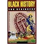 Black History for Beginners (For Beginners) (For Beginners (Steerforth Press))