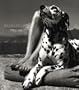 Herbert List: The Monograph