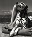 Herbert List: The Monograph