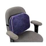 Essential Medical Supply Memory P.F. Lumbar Support, Color Box