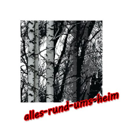 Klebefolie d-c-fix WOOD Wald Holz