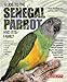 Guide to the Senegal Parrot and Its Family
