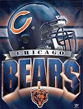The Chicago Bears NFL Football Flag or Banner