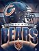 NFL Chicago Bears 27-by-37-Inch Vertical Flag