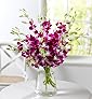 Dendrobium Orchid Bouquet