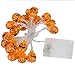 Xcellent Global Battery Powered 3D Jack-O-Lantern Pumpkin 20 LED String Lights Halloween Decoration Lights, Warm white 7.2ft/2.2meters M-LD067