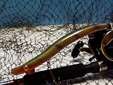 Sneaky Snake - Custom Muskie Bait - Green Scale - 11 Long