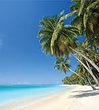 UPC 091212000018 product image for WallPops WPDP0293 34-Inch-by-39-Inch Beach Panel Decals | upcitemdb.com