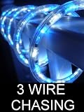 10Ft Rope Lights; 3wires ocean blue and pure white chasing LED Rope Light Kit; Christmas Lighting; outdoor rope lighting