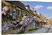 Canvas Prints of Purple flowering wisteria on a Cotswold stone house wall in the village of from Robert Harding