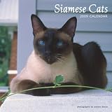 Siamese Cats 2009 Square Wall Calendar
