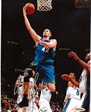 Upper Deck Authentic Kevin Love Autograph 8x10 Minnesota Timberwolves Photo