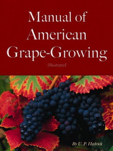A Manual of American Grape-Growing (Illustrated)