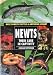 Newts: Their Care in Captivity (Basic Domestic Reptile & Amphibian Library)