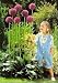 Gladiator Flowering Onion Allium - 10 Seeds