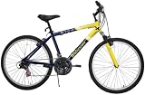 Best Bikes NFL Michigan U 26-Inch Mountain Adult Bike (88826-0039-8109)