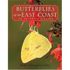 Butterflies of the East Coast: An Observer's Guide