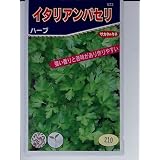 イタリアンパセリー　サカタのハーブ種です