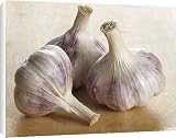 Box Canvas Print of Garlic bulbs from Science Photo Library