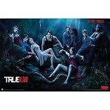 True Blood (Season 3, Do Bad Things) TV Poster Print - 24x36