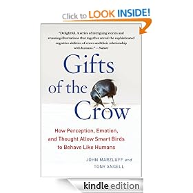 Gifts of the Crow