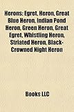 Herons: Egret, Heron, Great Blue Heron, Indian Pond Heron, Green Heron, Great Egret, Whistling Heron, Striated Heron, Black-Cr-