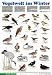 Bücher : Vogelwelt im Winter: Schreiber Naturtafeln, Vogelwelt im Winter