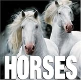 Horses (Cube Books)