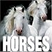 Horses (Cube Books)
