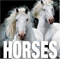 Horses (Cube Books)