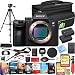 Sony a7 III Full Frame Mirrorless Interchangeable Lens 4K HDR Camera | Official Sony USA Partner Model | ILCE-7M3 Body Bundle with Deco Gear Travel Bag, 2X 64GB Memory Cards, Software & Accessories