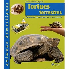 Tortues terrestres : Comment les accueillir et les �lever