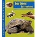 Tortues terrestres : Comment les accueillir et les �lever